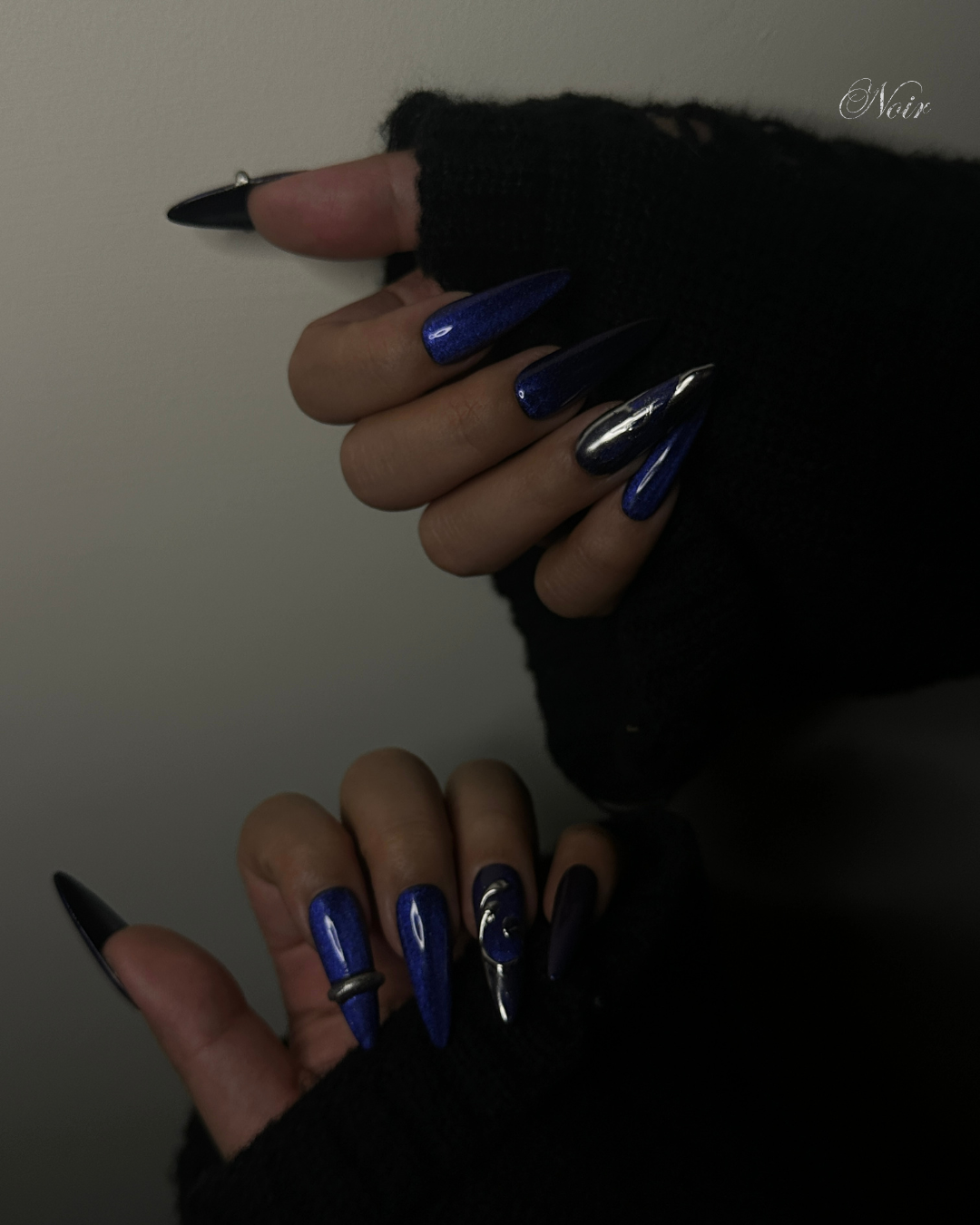 Mitternachtsblüte♡